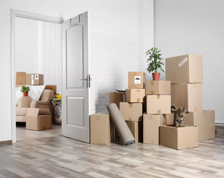 Finding a place to live in Emilia Romagna - image of moving boxes