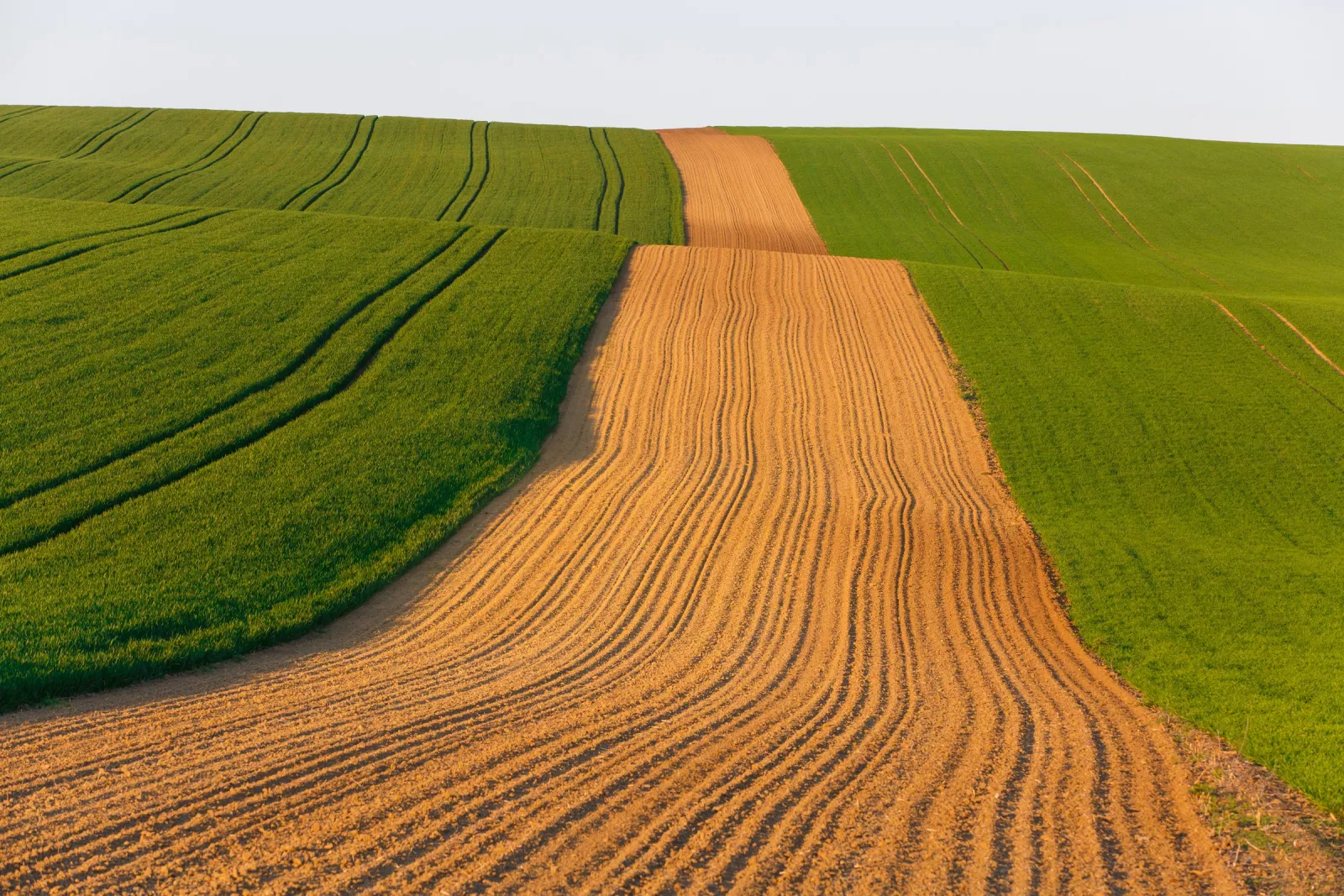 The agrifood industry in Emilia Romagna