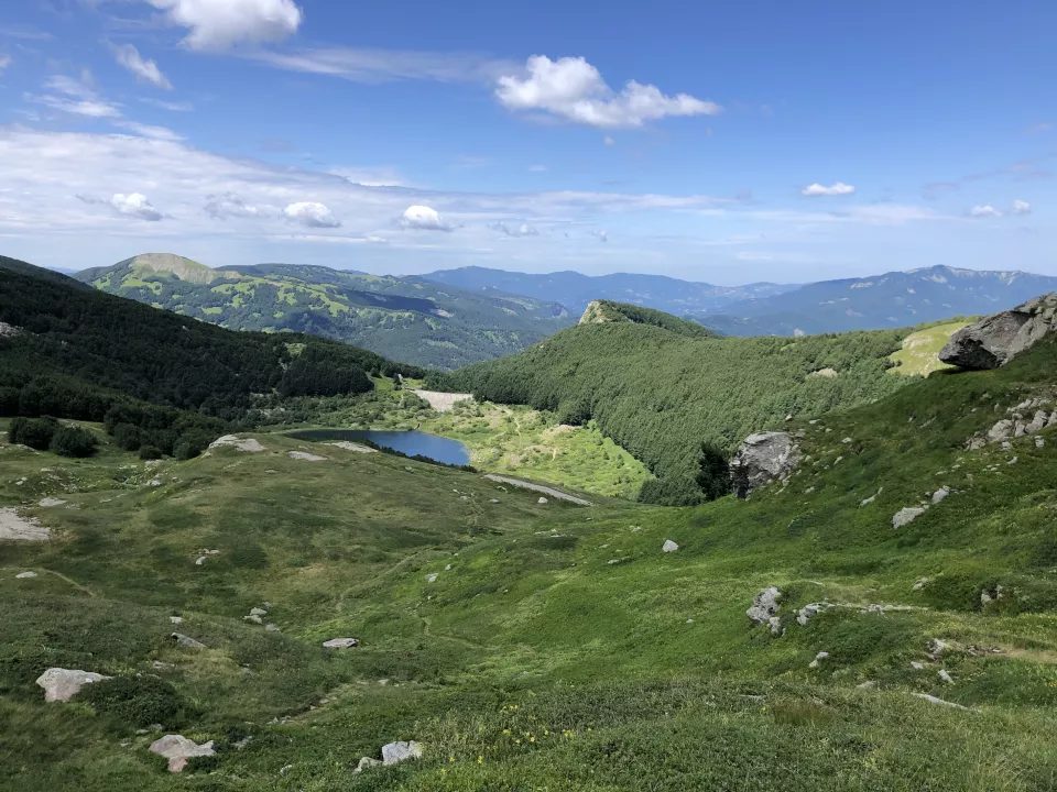 Credits: Alessandro Mafrica