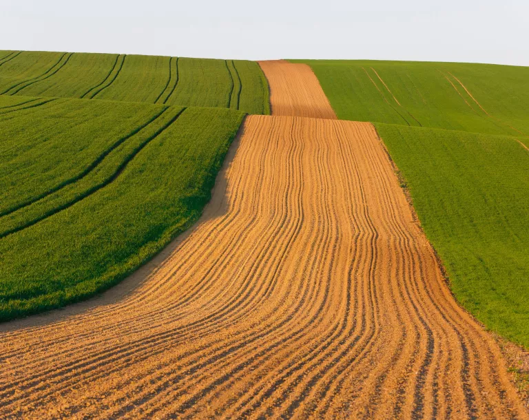 The agrifood industry in Emilia Romagna