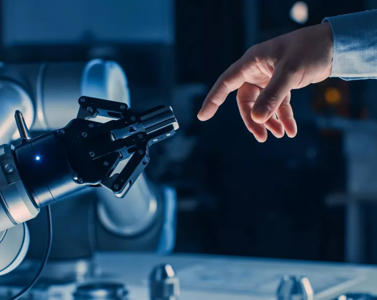 The digital sector in Emilia Romagna